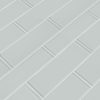 Snowcap White Tile 3x9  