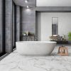 Statuary Porcelain Tile  
