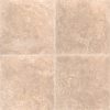 Tuscany Platinum Travertine  