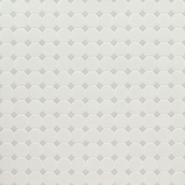 White And Gray Matte Octagon Tile  