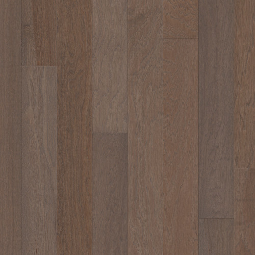 Chestnut Chestnut