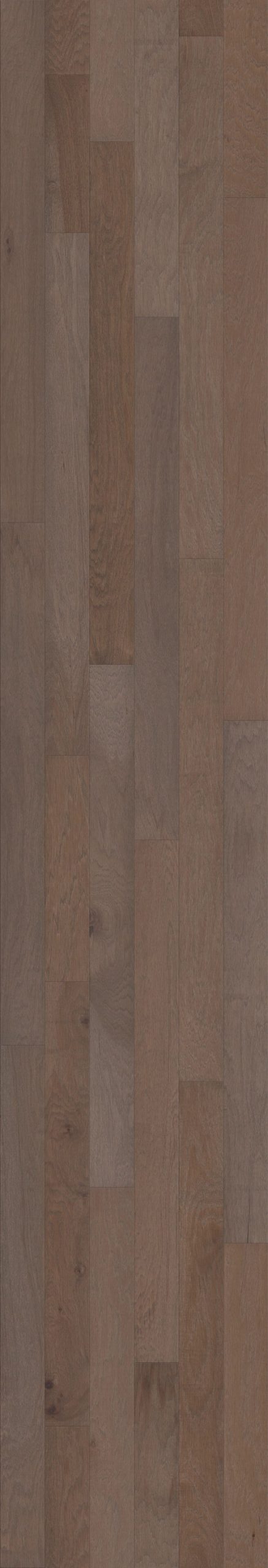 Chestnut Chestnut