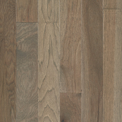 Chestnut Chestnut