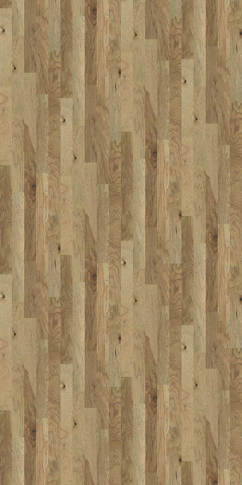 Burlap Burlap