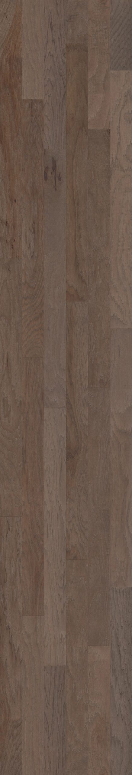 Chestnut Chestnut