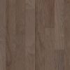 Chestnut Chestnut