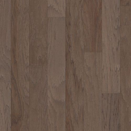 Chestnut Chestnut