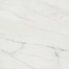 Carrara  