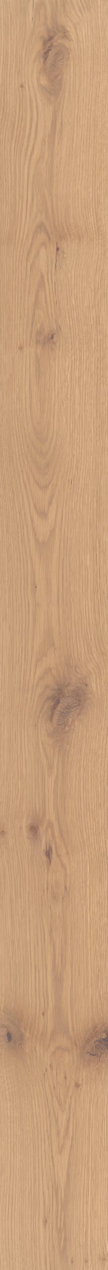 Timber Timber