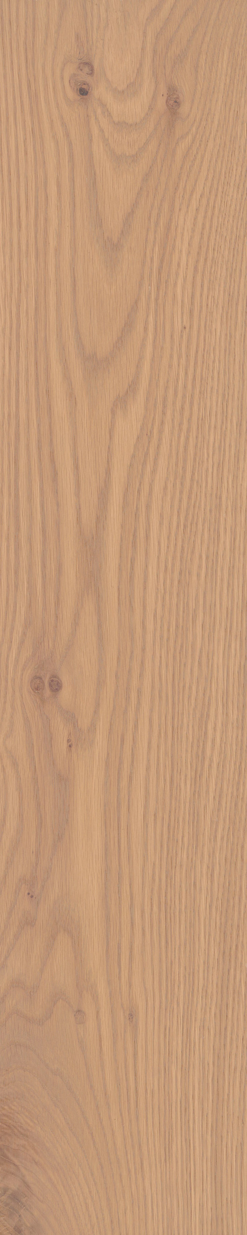 Timber Timber