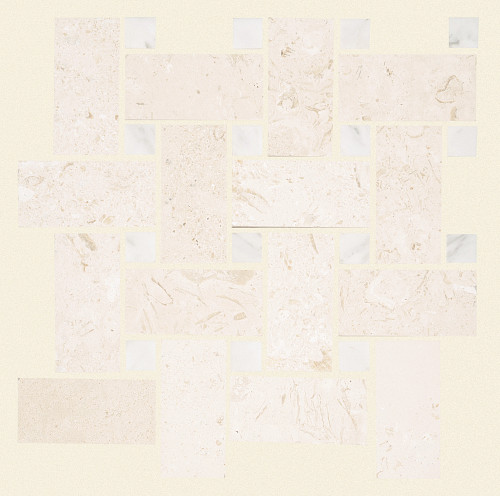 Fossil Fossil
