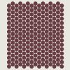 Maroon Maroon