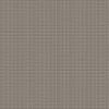 Taupe Taupe