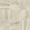 Taupe Taupe