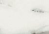 Italia Light Commercial, Natural, Porcelain, Rectangle, Residential 