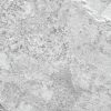 Phoenix Commercial, Light Commercial, Moon, Natural, Porcelain, Rectangle, Residential 
