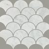 Bianco Carrara Bianco Carrara
