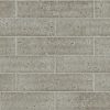 Taupe Taupe