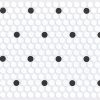 Polkadot Polkadot