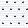 Polkadot Polkadot