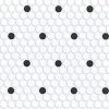 Polkadot Polkadot