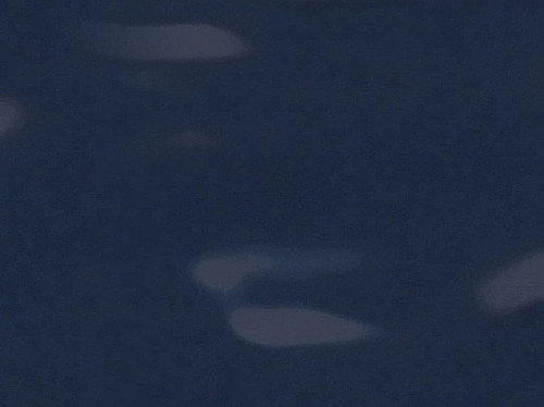Midnight Blue Midnight Blue