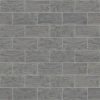Dark Gray Dark Gray