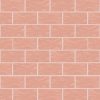 First Lady Pink First Lady Pink