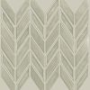 Taupe Taupe