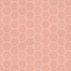 First Lady Pink  