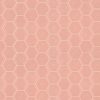 First Lady Pink  