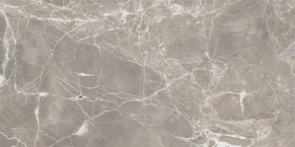 Alpha Polished-Greige Porcelain, Tiles 