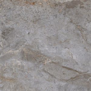 Amazon Polished 1224-Grey Porcelain, Tiles 