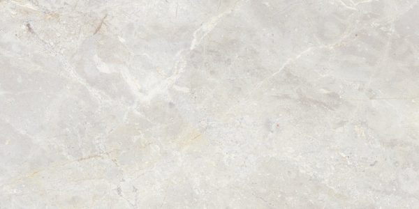 Amazon Polished 2424-Bone Porcelain, Tiles 