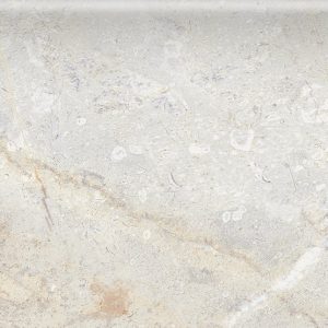 Amazon Polished Bull-Bone Bullnose, Tiles 