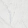Anderson Polished 12-White Porcelain, Tiles 