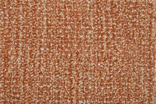 Auburn-Coral Carpet 