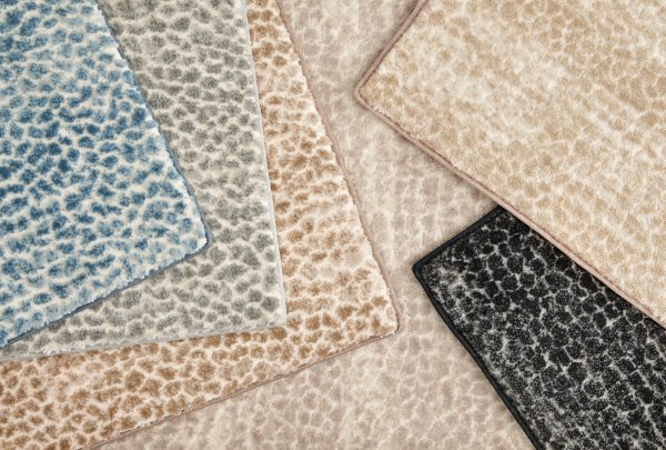 Allegory-Oyster Carpet, stantoncarpet 
