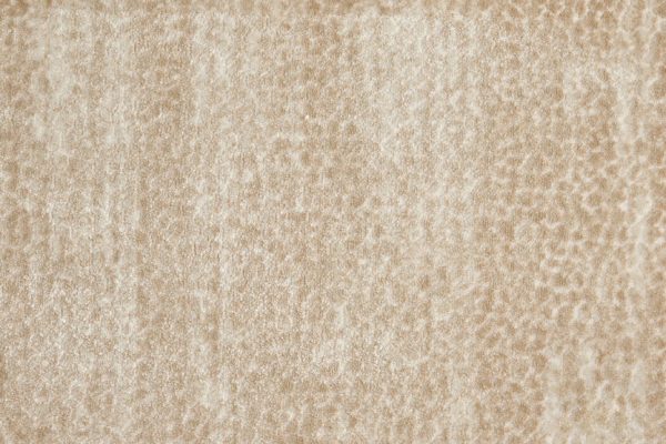 Allegory-Cream Carpet, stantoncarpet 