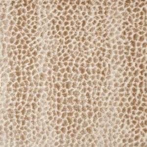 Allegory-Dune Carpet, stantoncarpet 
