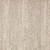 Allegory-Oyster Carpet, stantoncarpet 