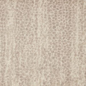 Allegory-Oyster Carpet, stantoncarpet 