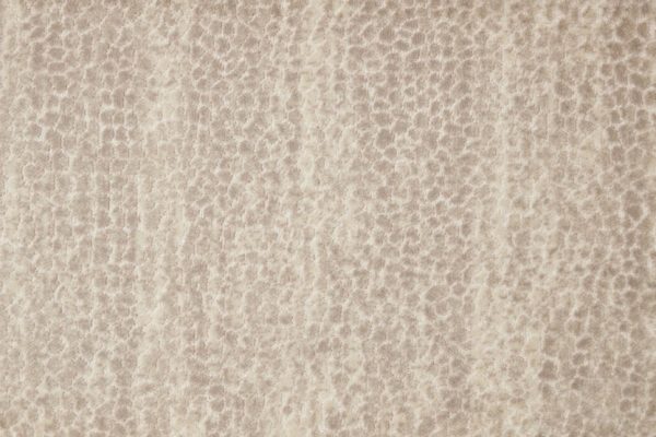 Allegory-Oyster Carpet, stantoncarpet 