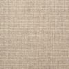Arrieta-Almond Carpet 