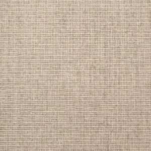 Arrieta-Almond Carpet 