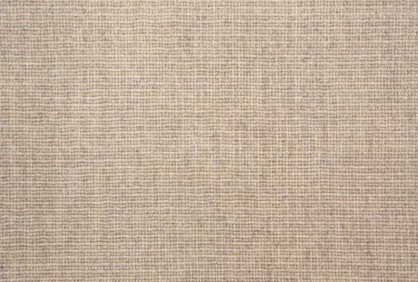 Arrieta-Almond Carpet 