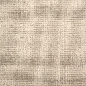 Arrieta-Greige Carpet 