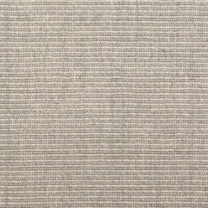 Arrieta-Light Slate Carpet 