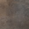 Artifact-Rich Earth Luxury Vinyl 