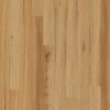 Au Naturel-Ash Luxury Vinyl 